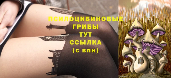 бутират Сосновый Бор