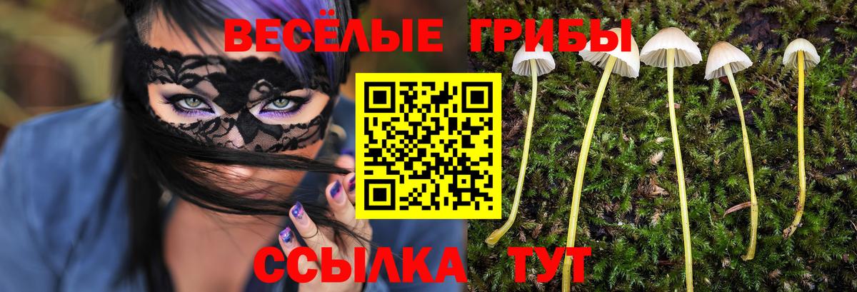ГАШИШ  Каннабис  Cocaine  Сердобск  Меф МЯУ МЯУ   Вход с VPN 
